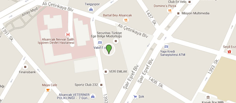 Google Map